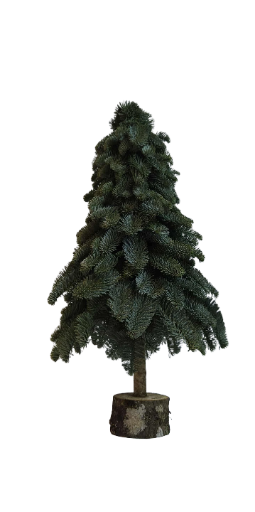 Kėnio šakų eglutė 60cm - Image 2